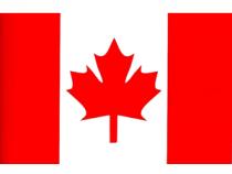 Kanada Platin Maple Leaf 1/10 Unze kaufen und verkaufen