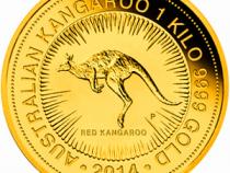 Känguru 1 Kilo 2014