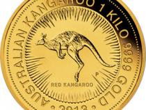 Känguru 1 Kilo 2013