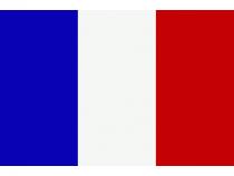 100 Franc Frankreich Napoleon III 1852-1870