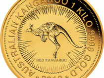 Känguru 1 Kilo 2018