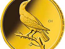20 Euro Goldmünze Pirol 2017 Heimische Vögel