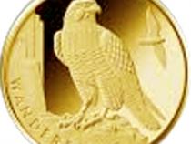 20 Euro Goldmünze Wanderfalke 2019 Heimische Vögel