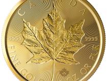 Maple Leaf Gold 2019 Incuse