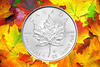 Maple Leaf 1 Unze 2020 