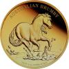 Australien Brumby Goldmünzen