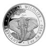 Somalia Elefant 5 Unzen Silber