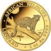 Somalia Leopard Gold 2021