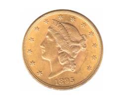 20 Dollar American Liberty Head 1895