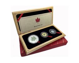Kanada Silber Gold Platin Polar Serie 2000