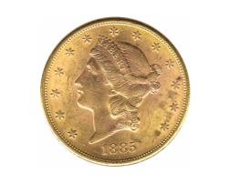 20 Dollar American Liberty Head 1885