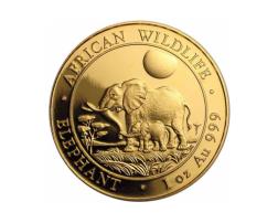 Somalia Elefant Goldmünze 2011