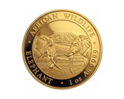 Somalia Elefant Goldmünze 2020