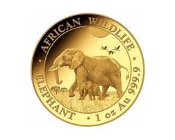 Somalia Elefant Goldmünze 2022