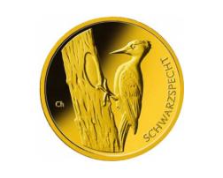 20 Euro Goldmünze Schwarzspecht 2021 Heimische Vögel