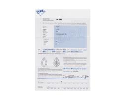 Diamant und Brillant 0,27 Carat mit Zertifikat DPL TW-884