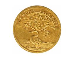 Nürnberg Gold Dukat 1727 George Friedrich Karl 