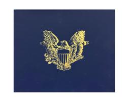 Münzkassette Silber American Eagle blau