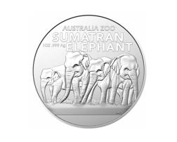 Australian Zoo 1 Unze Silbermünze Elefanten 2022