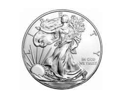 American Silber Eagle 1 Unze 2011