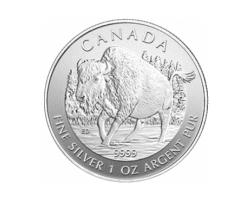 Bison 2013 1 Unze Silber Kanada Wildlife Serie