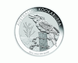 Kookaburra 1 Kilo 2016