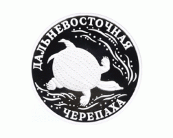 Rubel Russland 2003 Wasserschildkröte