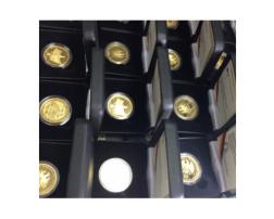 100 Euro Goldmünze MIX im Etui und Zertifikat TOP Qualität