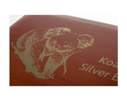 Hochwertige Holz Münzkassette Silber Koala 10 Unzen